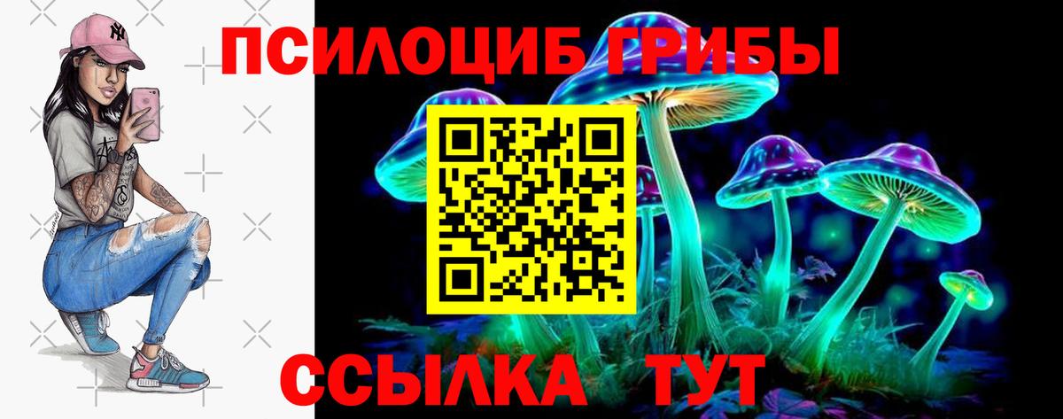 Галлюциногенные грибы прущие грибы  Вход с VPN  Славянск-на-Кубани 